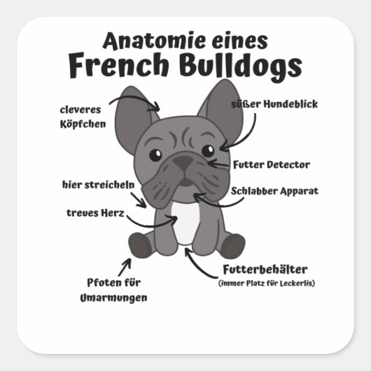 Anatomie eines französischen Bulldoggen-Hundes Quadratischer Aufkleber (Vorderseite)
