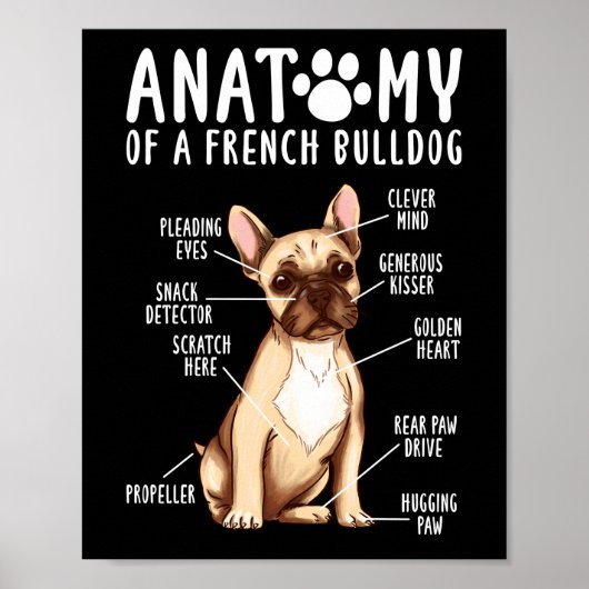 Anatomie eines französischen Bulldoggen-Mama-Vater Poster (Vorne)