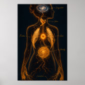 Anatomie eines Gefühls Poster (Vorne)