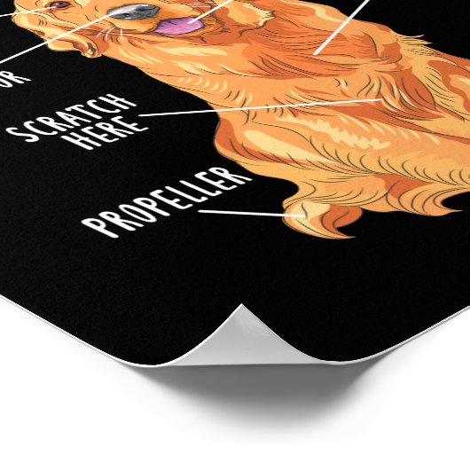 Anatomie eines Golden Retriever Mama Vaters Poster (Ecke)