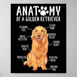 Anatomie eines Golden Retriever Mama Vaters Poster