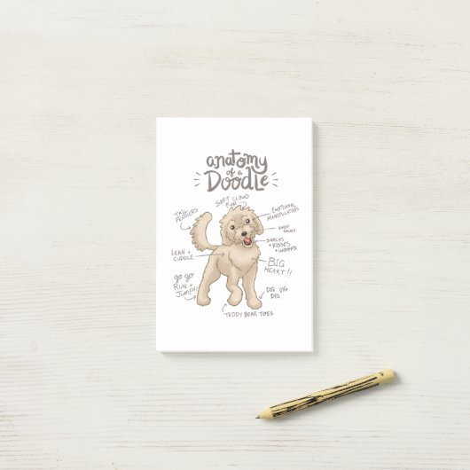 Anatomie eines Goldendoodles Post-it Klebezettel (Auf Schreibtisch)