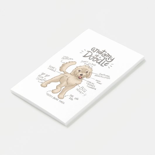 Anatomie eines Goldendoodles Post-it Klebezettel (angewinkelt)