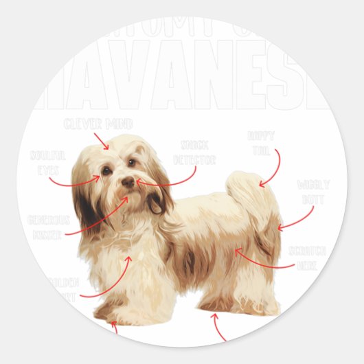 Anatomie eines Havanese - Kubanischer Havaneser Ha Runder Aufkleber (Vorderseite)