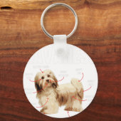 Anatomie eines Havanese - Kubanischer Havaneser Ha Schlüsselanhänger (Vorderseite)