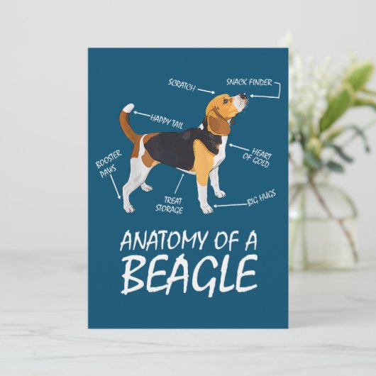 Anatomie eines Hundes aus Beagle (Stehend Vorderseite)