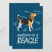 Anatomie eines Hundes aus Beagle (Vorne/Hinten)