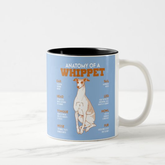 Anatomie eines Hundes bei Hunden Funny Anatomy Cha Zweifarbige Tasse (Rechts)