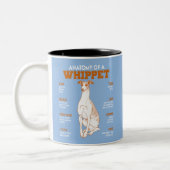 Anatomie eines Hundes bei Hunden Funny Anatomy Cha Zweifarbige Tasse (Links)