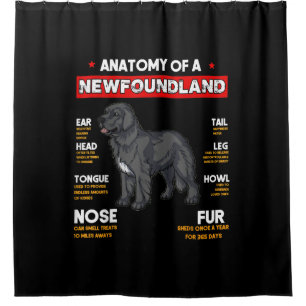 Anatomie eines Hundes in Neufundland Duschvorhang