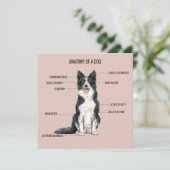 Anatomie eines Hundes Karte (Stehend Vorderseite)