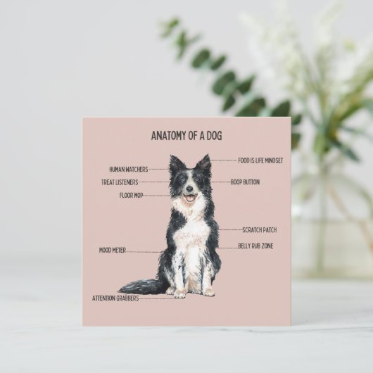 Anatomie eines Hundes Karte (Stehend Vorderseite)