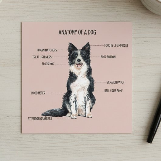 Anatomie eines Hundes Karte
