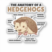 Anatomie eines Igels im niedlichen Igel Aufkleber (Vorderseite)
