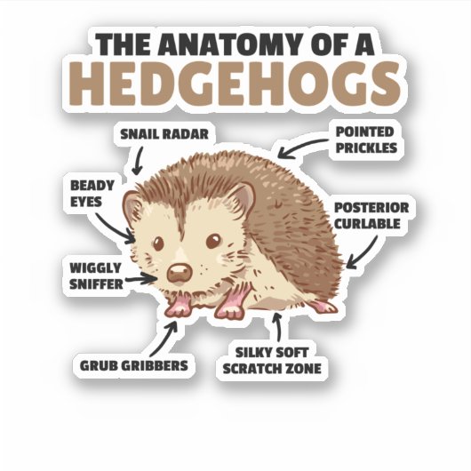 Anatomie eines Igels im niedlichen Igel Aufkleber (Vorderseite)