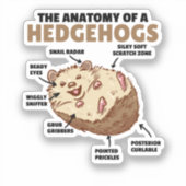 Anatomie eines Igels im niedlichen Igel Aufkleber (Vorderseite)