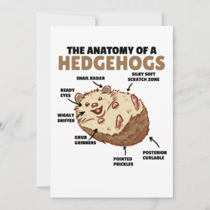 Anatomie eines Igels im niedlichen Igel Einladung