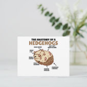 Anatomie eines Igels im niedlichen Igel Postkarte (Stehend Vorderseite)