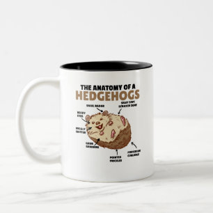 Anatomie eines Igels im niedlichen Igel Zweifarbige Tasse