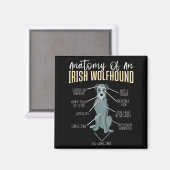 Anatomie eines Irischen Wolfshunds Magnet (Vorderseite/Rückseite)