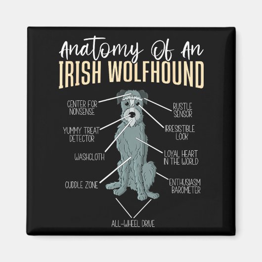 Anatomie eines Irischen Wolfshunds Magnet (Vorne)