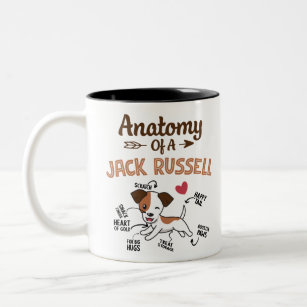 Anatomie eines Jacks Russell Terrier Zweifarbige Tasse