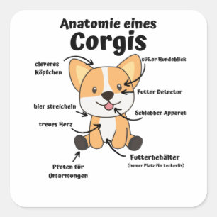 Anatomie eines korgischen Niedlichen Hundes Funny Quadratischer Aufkleber