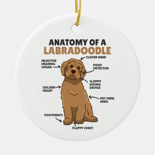 Anatomie eines Labradoodle-Niedlichen Hündchens Keramik Ornament (Vorne)