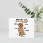 Anatomie eines Labradoodle-Niedlichen Hündchens Postkarte (Stehend Vorderseite)