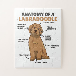 Anatomie eines Labradoodle-Niedlichen Hündchens Puzzle