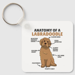 Anatomie eines Labradoodle-Niedlichen Hündchens Schlüsselanhänger