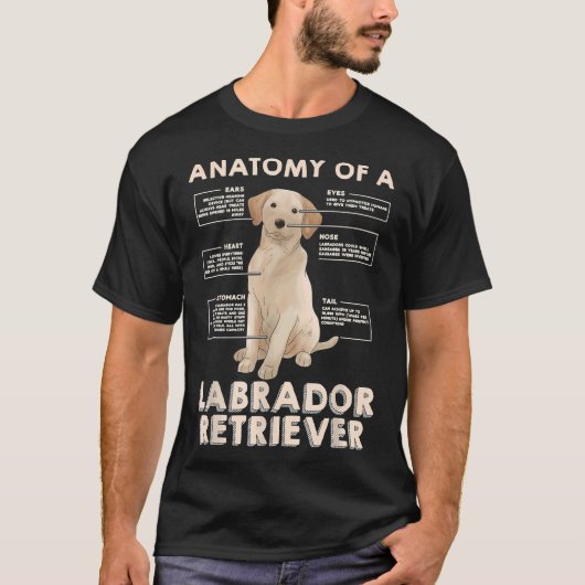 Anatomie eines Labrador Retriever-Ideals für T-Shirt (Vorderseite)