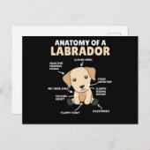 Anatomie eines Labrador Retriever Sweet Hunde Postkarte (Vorne/Hinten)