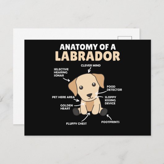 Anatomie eines Labrador Retriever Sweet Hunde Postkarte (Vorne/Hinten)