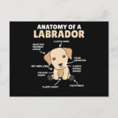 Anatomie eines Labrador Retriever Sweet Hunde Postkarte (Vorderseite)