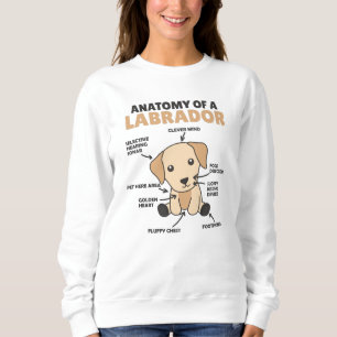 Anatomie eines Labrador Retriever Sweet Hunde Sweatshirt