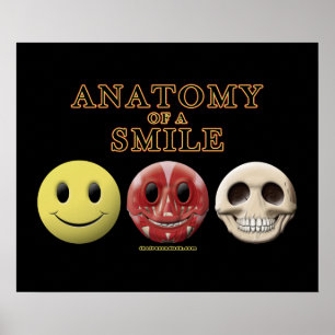 Anatomie eines Lächels Poster