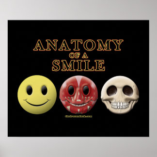 Anatomie eines Lächels Poster