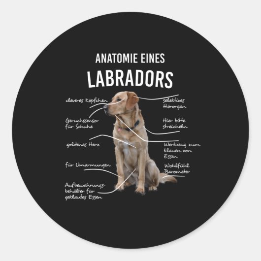 Anatomie eines lustigen Labrador Retriever Hundes Runder Aufkleber (Vorderseite)