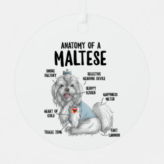 Anatomie eines maltesischen Hundebesitzers Welpe F Ornament Aus Metall