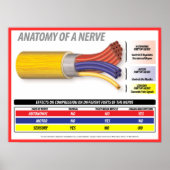 Anatomie eines Nervs 2015 Poster (Vorne)