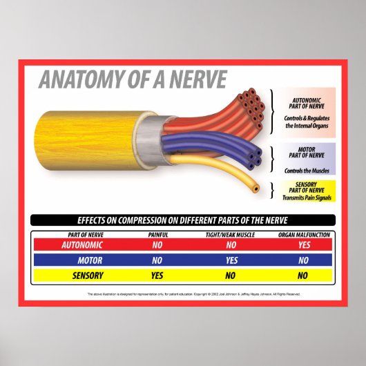 Anatomie eines Nervs 2015 Poster (Vorne)