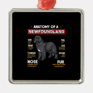 Anatomie eines Newfoundland-Hundefreundes Ornament Aus Metall