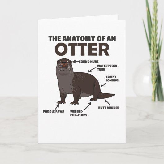 Anatomie eines Otters mit niedlicher Otter Karte (Vorderseite)