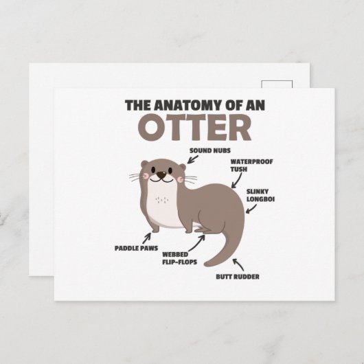 Anatomie eines Otters mit niedlicher Otter Postkarte (Vorne/Hinten)