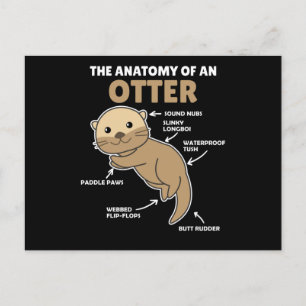 Anatomie eines Otters mit niedlicher Otter Postkarte