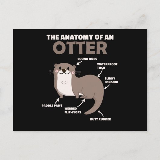Anatomie eines Otters mit niedlicher Otter Postkarte (Vorderseite)