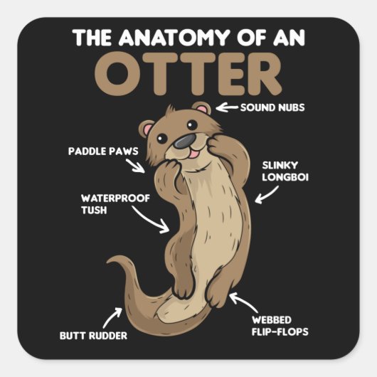 Anatomie eines Otters mit niedlicher Otter Quadratischer Aufkleber (Vorderseite)
