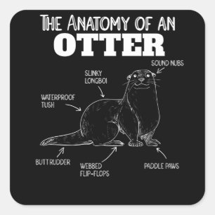 Anatomie eines Otters mit niedlicher Otter Quadratischer Aufkleber