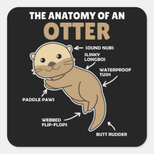 Anatomie eines Otters mit niedlicher Otter Quadratischer Aufkleber